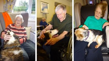 Animal sanctuary bring four legged friends to Grimsby care home